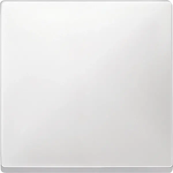 Schneider Electric - MTN412119 - Merten Sys-D Rocker Plate Polar White - 1