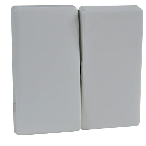 Schneider Electric - MTN412519 - Merten Sys-D 2-circ. Sw. Plate Plr Wht - 1