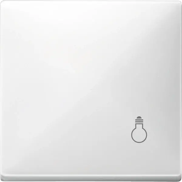 Schneider Electric - MTN412919 - Merten Sys-D Rckr Plate 