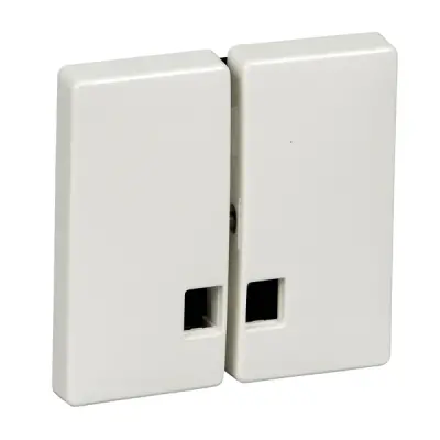 Schneider Electric - MTN413519 - Merten Sys-D 2g Rckr Plt w/Window Plr Wh - 1