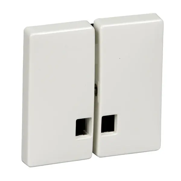 Schneider Electric - MTN413519 - Merten Sys-D 2g Rckr Plt w/Window Plr Wh - 1