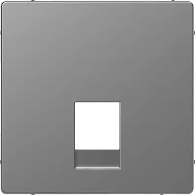 Schneider Electric - MTN4215-6036 - Merten D-Life RJ11/12 S.O. Plate St. St. - 1