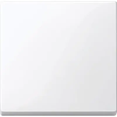 Schneider Electric - MTN432125 - Merten Sys-M Rocker Plate Active White - 1