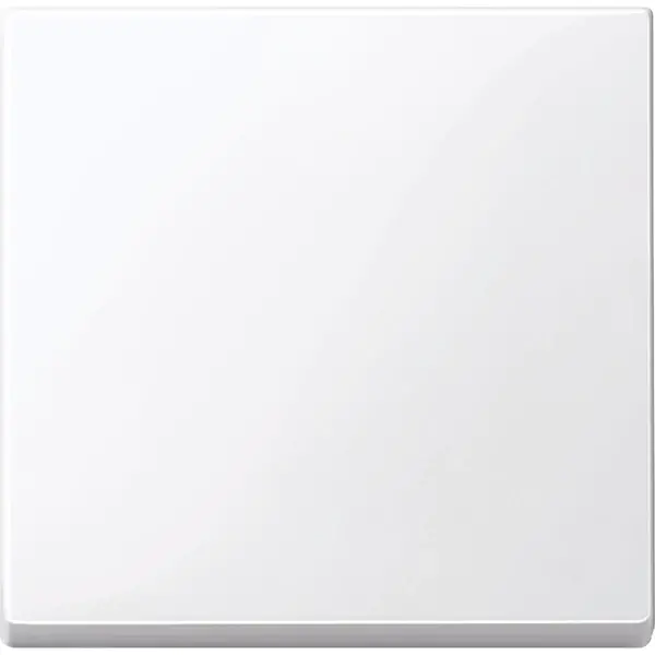 Schneider Electric - MTN432125 - Merten Sys-M Rocker Plate Active White - 1