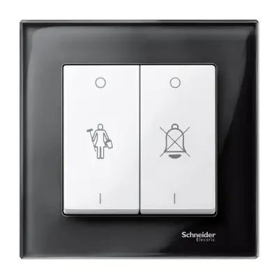 Schneider Electric - MTN432619 - Merten Sys-M DND/MUR Rckr Plate Plr Wht - 1