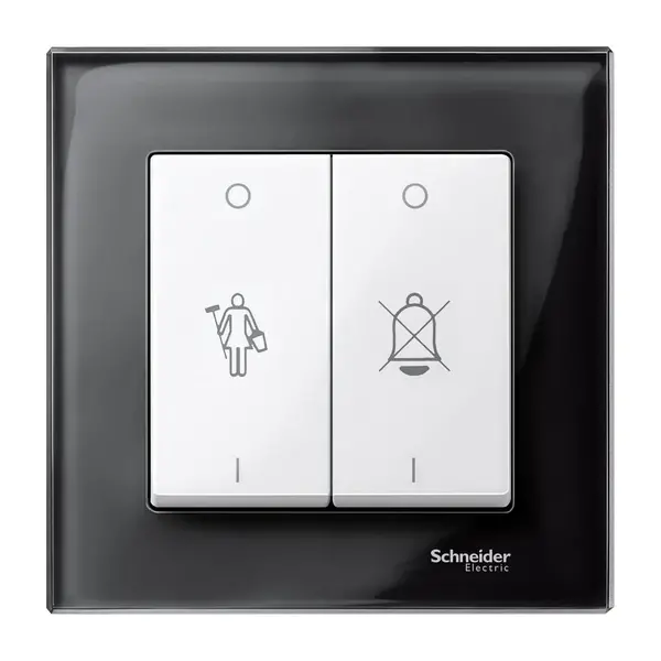 Schneider Electric - MTN432619 - Merten Sys-M DND/MUR Rckr Plate Plr Wht - 1