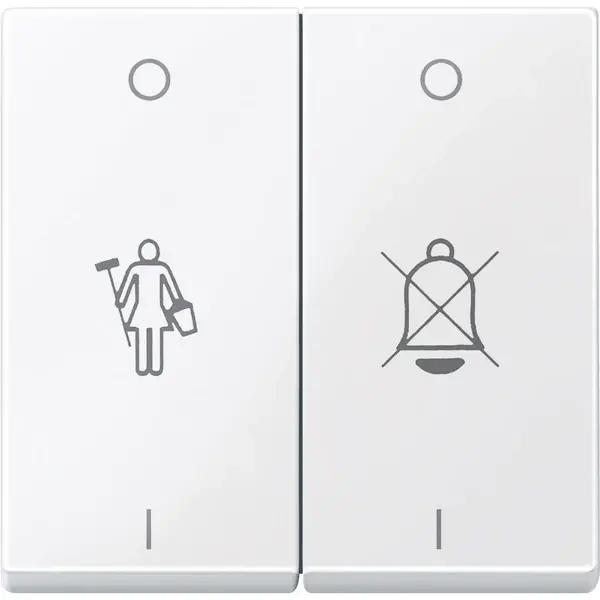 Schneider Electric - MTN432625 - Merten Sys-M DND/MUR Rckr Plate Act Wht - 1