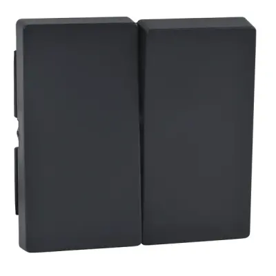 Schneider Electric - MTN433514 - Merten Sys-M 2g Rocker Plate Anthracite - 1