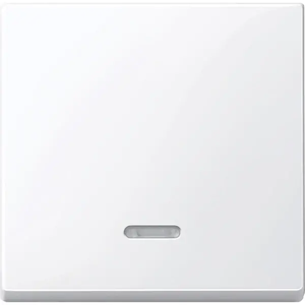 Schneider Electric - MTN436025 - Merten Sys-M Rocker Plate w/Window Act W - 1