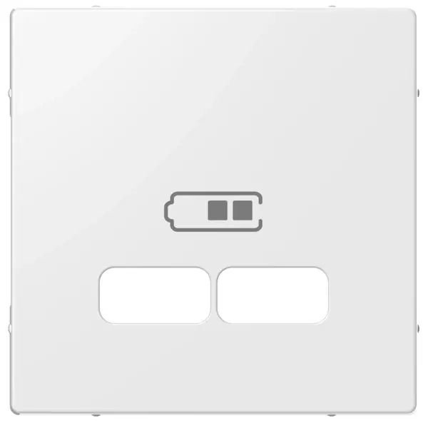 Schneider Electric - MTN4367-0319 - Merten Sys-M USB Charger Plate Plr Wht - 1