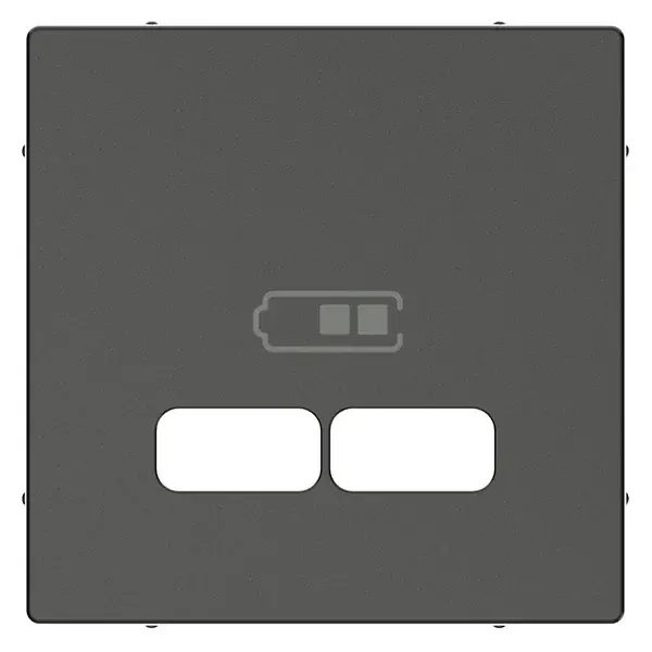 Schneider Electric - MTN4367-0414 - Merten Sys-M USB Charger Plate Anth - 1