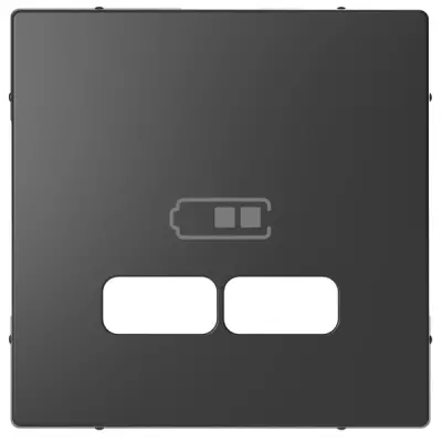 Schneider Electric - MTN4367-6034 - Merten D-Life USB Charger Plate Anth - 1