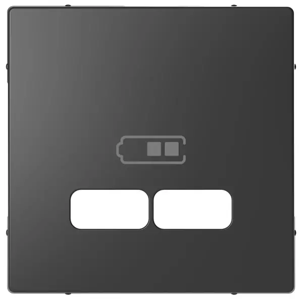 Schneider Electric - MTN4367-6034 - Merten D-Life USB Charger Plate Anth - 1