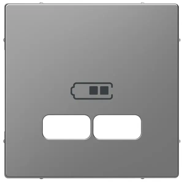 Schneider Electric - MTN4367-6036 - Merten D-Life USB Charger Plate St. St. - 1