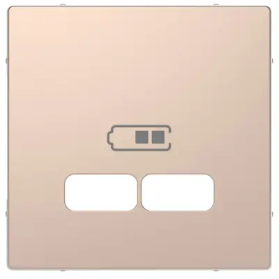 Schneider Electric - MTN4367-6051 - Merten D-Life USB Charger Plate Chmp Mtl - 1