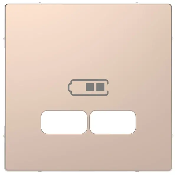 Schneider Electric - MTN4367-6051 - Merten D-Life USB Charger Plate Chmp Mtl - 1