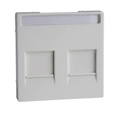 Schneider Electric - MTN4564-0325 - Mrtn SysM 2xRJ45 Plate w/Slide&Label AW - 1