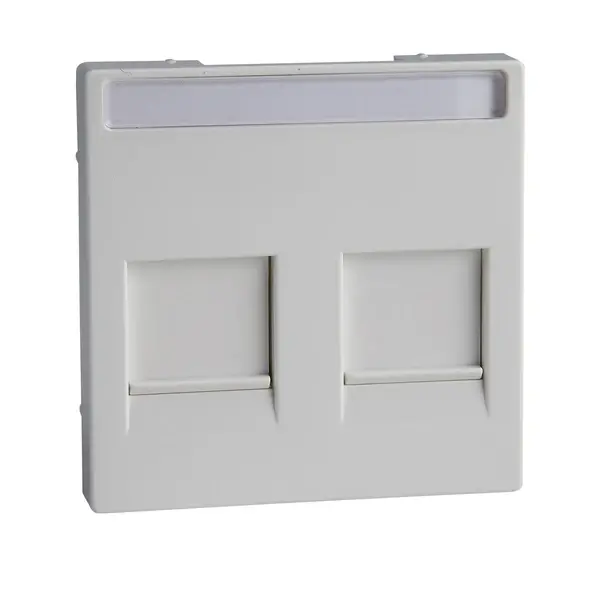 Schneider Electric - MTN4564-0325 - Mrtn SysM 2xRJ45 Plate w/Slide&Label AW - 1