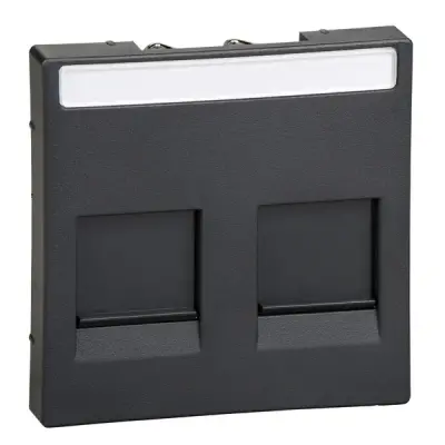 Schneider Electric - MTN4564-0414 - Mrtn SysM 2xRJ45 Plate w/Slide&Label An - 1