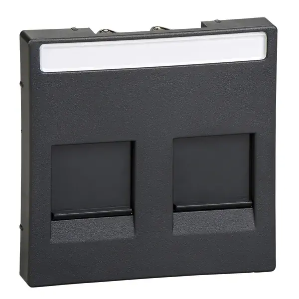 Schneider Electric - MTN4564-0414 - Mrtn SysM 2xRJ45 Plate w/Slide&Label An - 1
