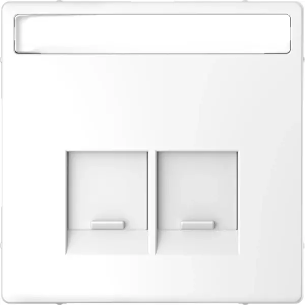 Schneider Electric - MTN4574-6035 - Mrtn D-Lf 2xRJ45 Plate w/Slide&Label LW - 1