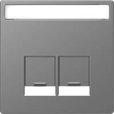Schneider Electric - MTN4574-6036 - Mrtn D-Lf 2xRJ45 Plate w/Slide&Label SS - 1
