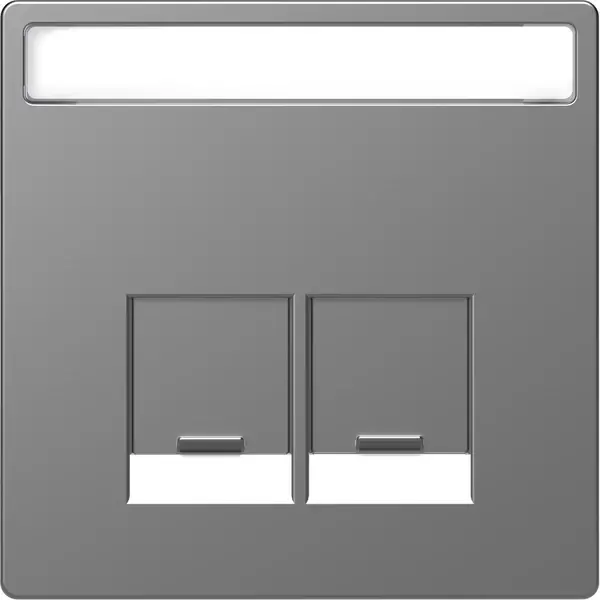Schneider Electric - MTN4574-6036 - Mrtn D-Lf 2xRJ45 Plate w/Slide&Label SS - 1