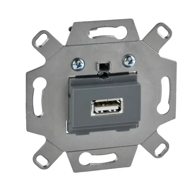 Schneider Electric - MTN4581-0000 - Merten USB 2.0 1g Insert - 1