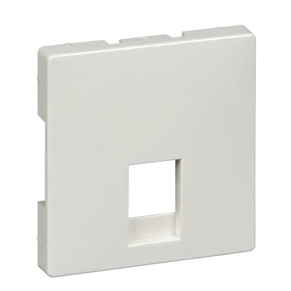 Schneider Electric - MTN462619 - Merten Sys-D RJ11/12 S.O. Plate Plr Wht - 1
