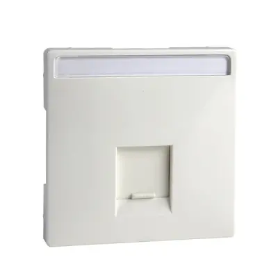 Schneider Electric - MTN466419 - Merten Sys-D SE 1xRJ45 Insrt Plt Plr Wht - 1