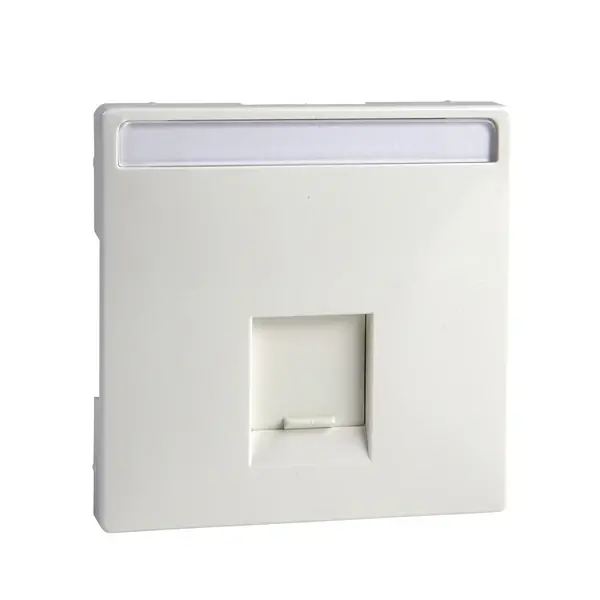 Schneider Electric - MTN466419 - Merten Sys-D SE 1xRJ45 Insrt Plt Plr Wht - 1