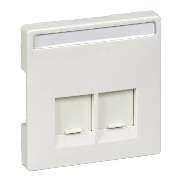 Schneider Electric - MTN466619 - Merten Sys-D SE 2xRJ45 Insrt Plt Plr Wht - 1