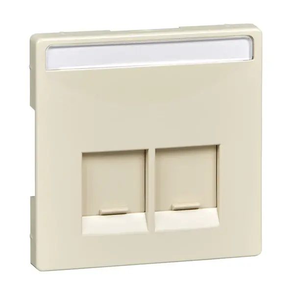 Schneider Electric - MTN466644 - Merten Sys-D SE 2xRJ45 Insrt Plate White - 1
