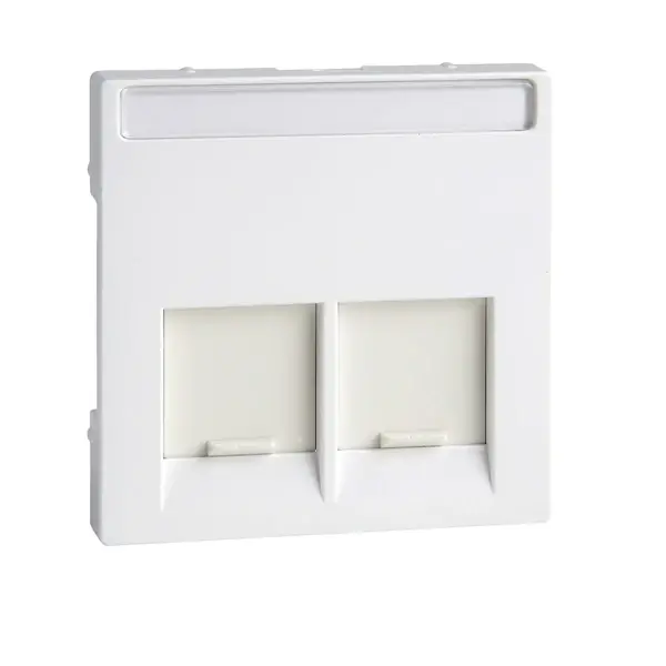 Schneider Electric - MTN469925 - Merten Sys-M SE 2xRJ45 Insrt Plt Act Wht - 1