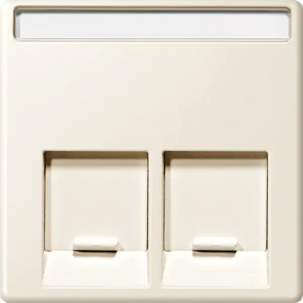 Schneider Electric - MTN469944 - Merten Sys-M SE 2xRJ45 Insrt Plate White - 1