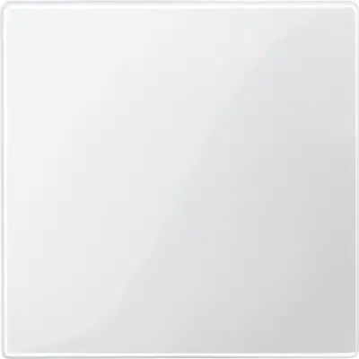 Schneider Electric - MTN577619 - Sen.cov. TPb pw SysM - 1