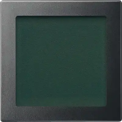 Schneider Electric - MTN587014 - Merten Sys-M DND Outer Unit Plate Anth - 1