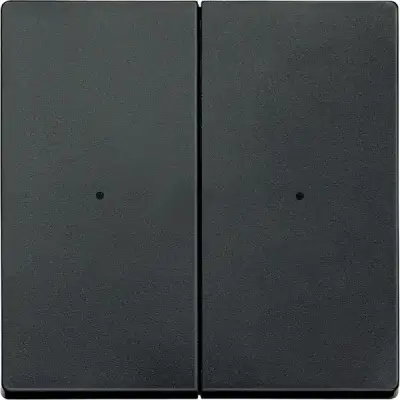 Schneider Electric - MTN625214 - KNX Rocker 2g P-b ant. Sys-M - 1