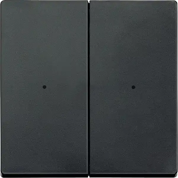 Schneider Electric - MTN625214 - KNX Rocker 2g P-b ant. Sys-M - 1