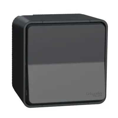 Schneider Electric - MUR35021 - Mureva two-way switch, surface, grey - 1