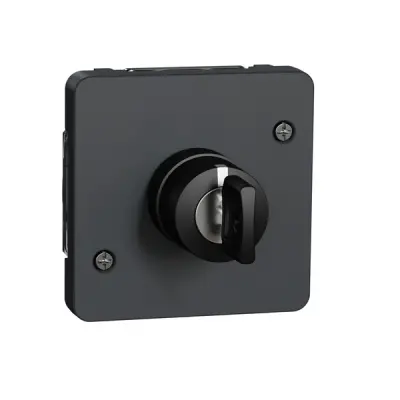 Schneider Electric - MUR35061 - Mureva key switch w 3 positions multi gr - 1