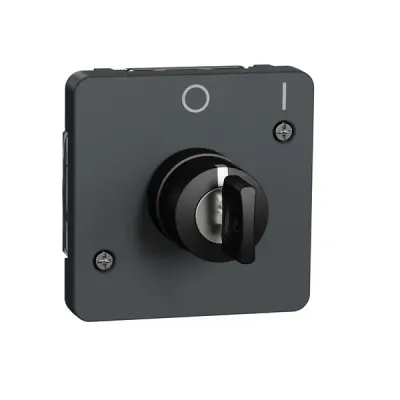 Schneider Electric - MUR35062 - Mureva key switch w 2 positions multi gr - 1