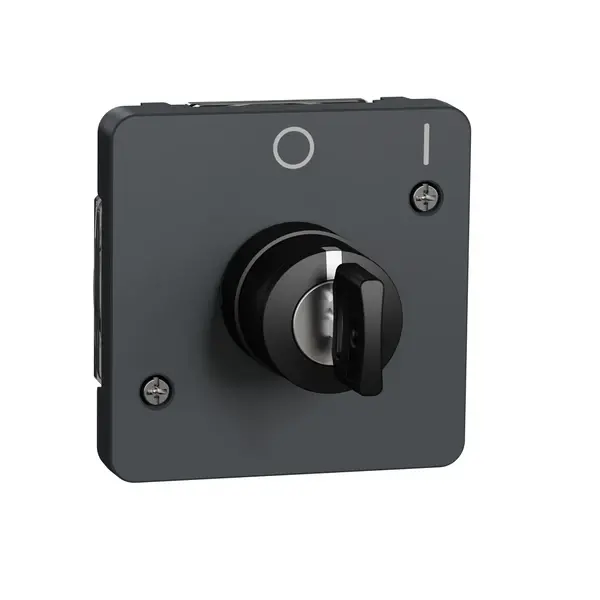 Schneider Electric - MUR35062 - Mureva key switch w 2 positions multi gr - 1