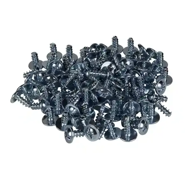 Schneider Electric - NSYAMFSTB - 100 x Self tapping screw +y4x10 - 1