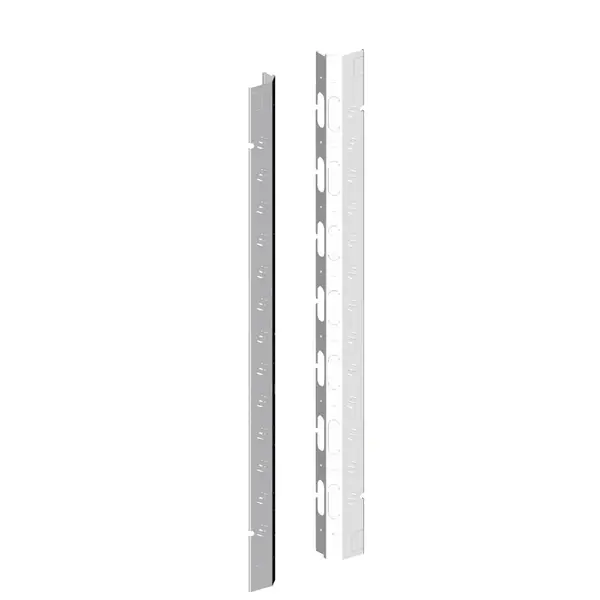 Schneider Electric - NSYPV42 - SET 2 TRIM PLATES 42U CABLE MANAGEMENT - 1