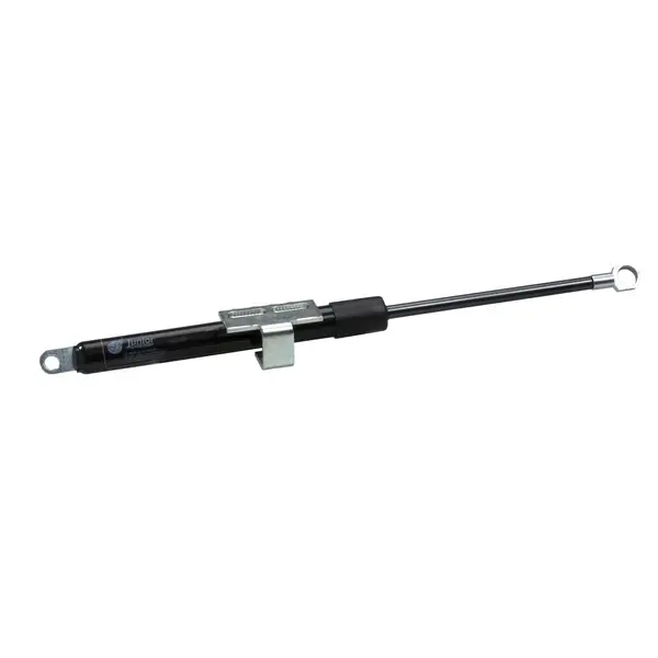 Schneider Electric - NSYSFNDR - Pneumatic door stop Spacial SF - 1
