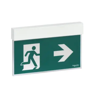 Schneider Electric - OVA38250 - Exiway Easysign 24mt 1,5h - 1