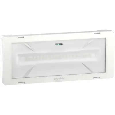 Schneider Electric - OVA48512 - EXIWAY SMARTLED IP65 D3 L/820/1LFP - 1