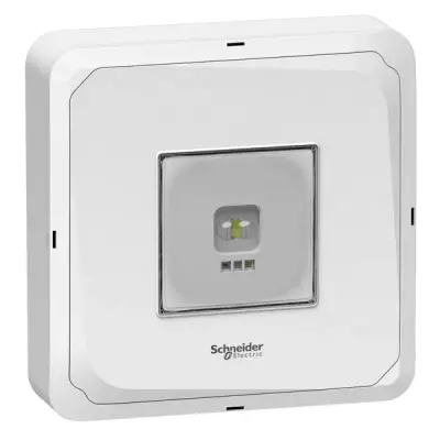 Schneider Electric - OVA48950 - Smartbeam sıva-üstü, 3sa, sürekli, 440lm - 1