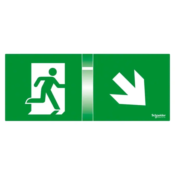 Schneider Electric - OVA53165 - 4SC45°SG EXW-SMTLD - 1